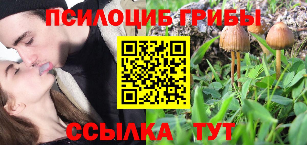 Менделеевск  цены наркотик  Вход с VPN  Псилоцибиновые грибы Psilocybine cubensis 