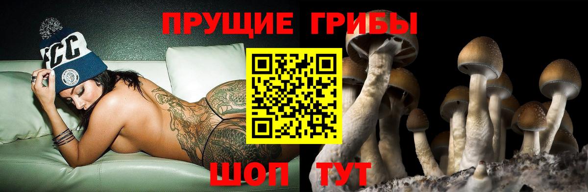 Псилоцибиновые грибы ЛСД Менделеевск